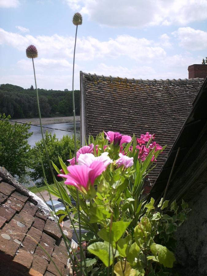 Maison De La Loire 拉尚蒂 外观 照片